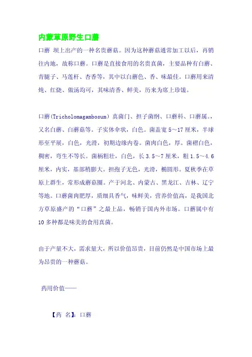 内蒙草原野生口蘑