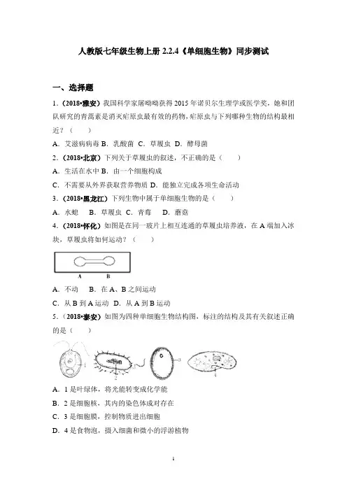 人教版七年级生物上册2.2.4《单细胞生物》同步测试