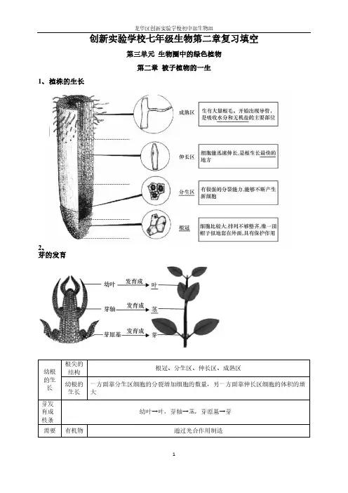 七年级生物被子植物的一生-答案