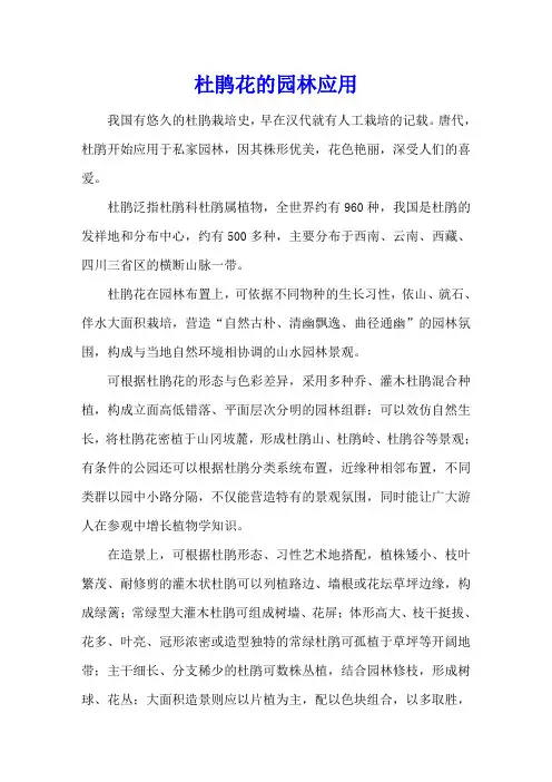 杜鹃花的园林应用
