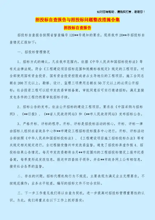 招投标自查报告与招投标问题整改措施合集.doc