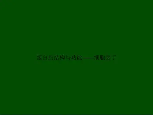 蛋白质结构与功能——细胞因子