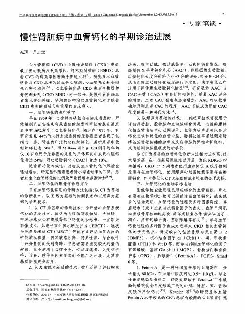 慢性肾脏病中血管钙化的早期诊治进展