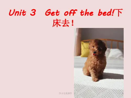 新概念青少年版入门级B课件Unit3_unit4(ppt课件)