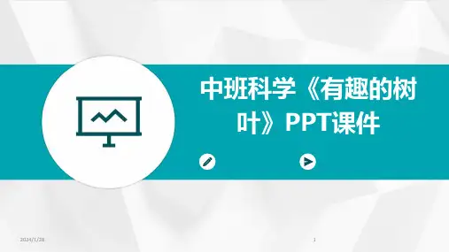 中班科学《有趣的树叶》PPT课件