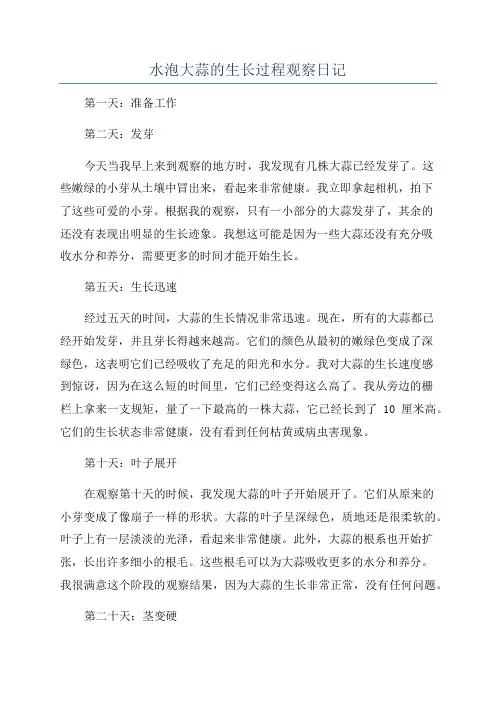 水泡大蒜的生长过程观察日记
