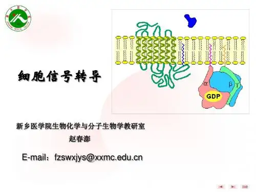 (20131110) 细胞信息转导