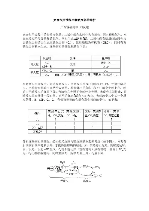 光合作用过程中物质变化的分析