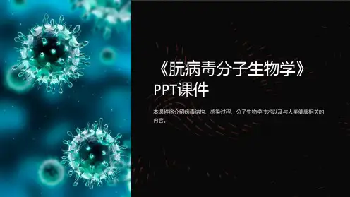 《朊病毒分子生物学》课件