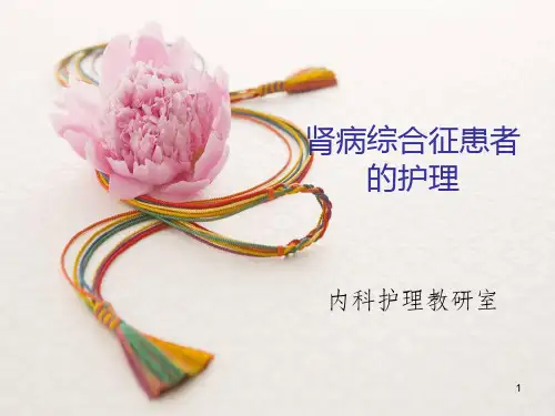 肾病综合征患者的护理ppt课件