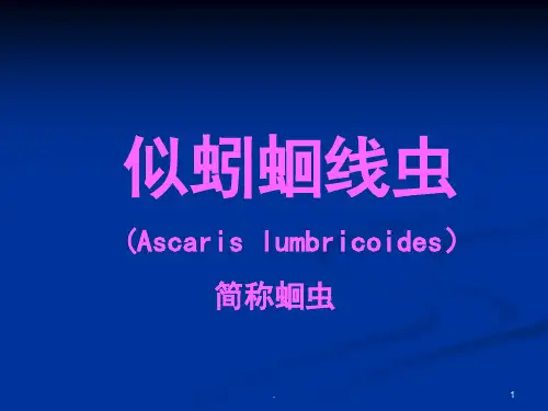 (医学课件)蛔虫ppt演示课件