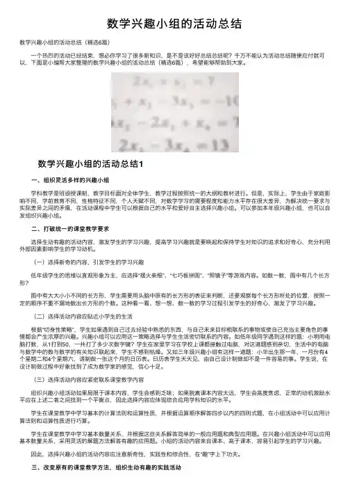 数学兴趣小组的活动总结