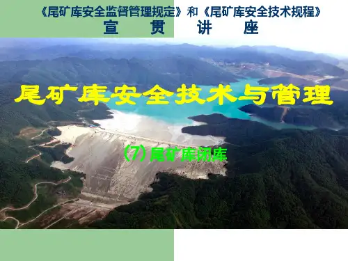 尾矿库安全技术与管理：闭库