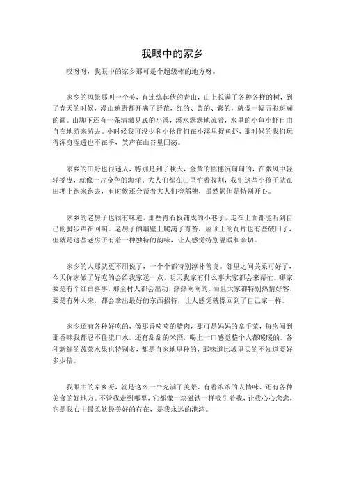 我眼中的家乡