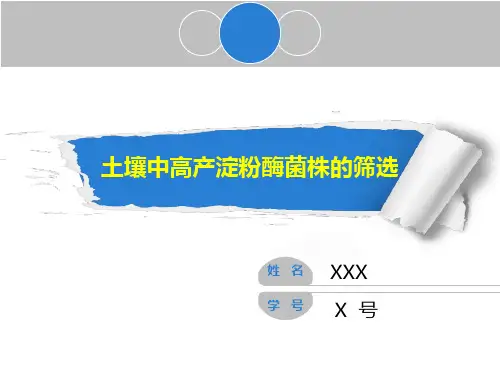 高产淀粉酶菌株筛选