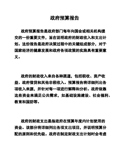 政府预算报告
