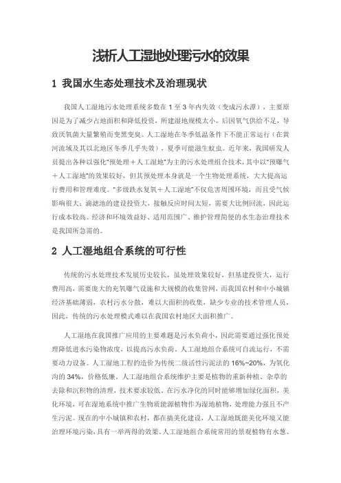 浅析人工湿地处理污水的效果