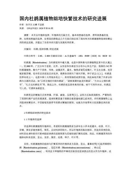 国内杜鹃属植物组培快繁技术的研究进展