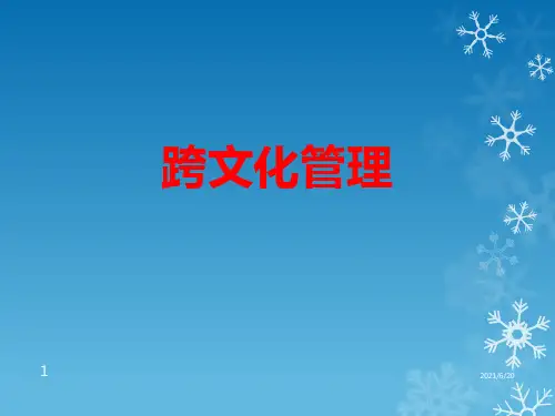跨文化管理PPT课件