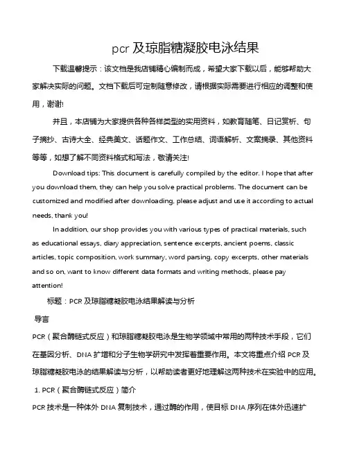 pcr及琼脂糖凝胶电泳结果