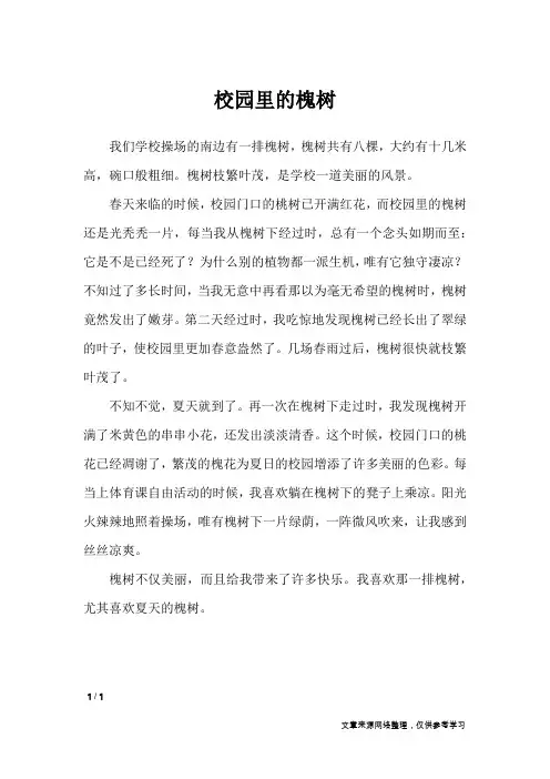 校园里的槐树_小学作文