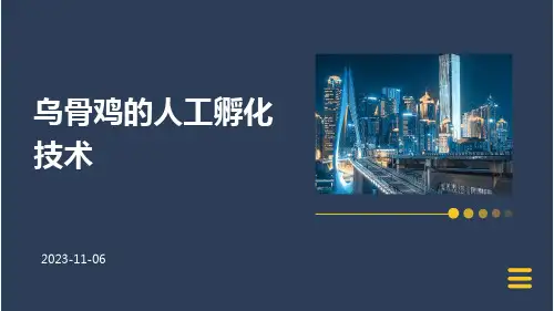 乌骨鸡的人工孵化技术