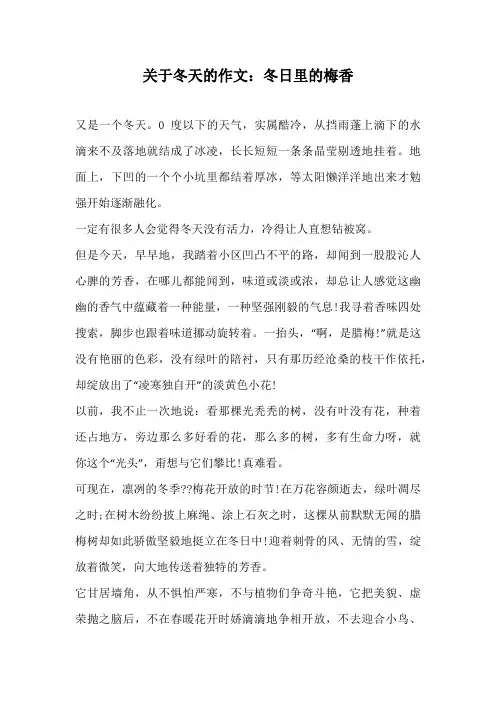 高中作文-关于冬天的作文：冬日里的梅香