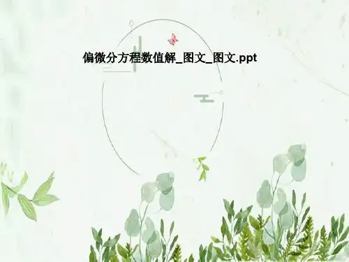 偏微分方程数值解_图文_图文