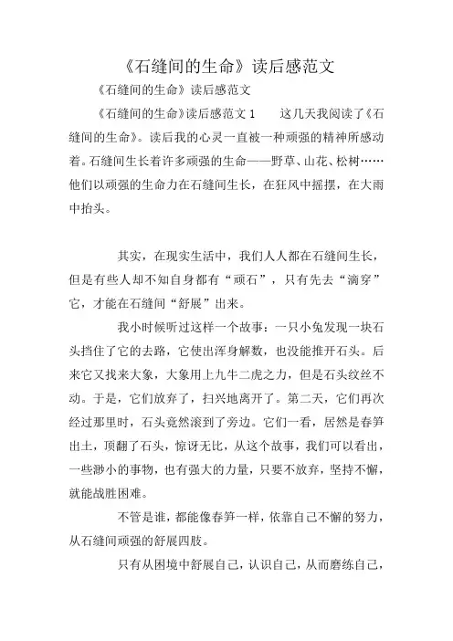 《石缝间的生命》读后感范文