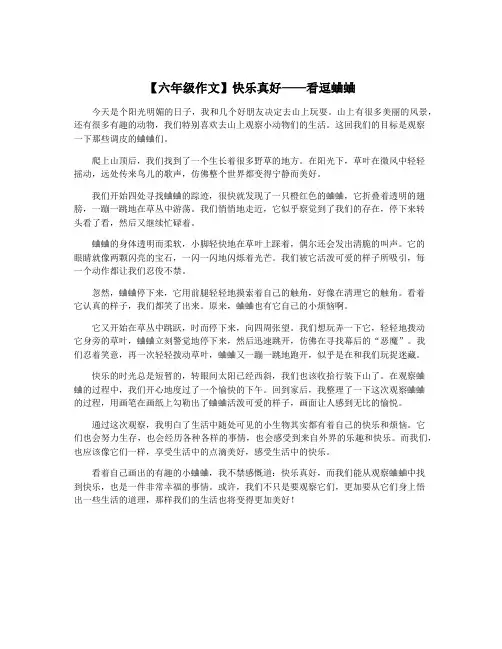 【六年级作文】快乐真好——看逗蛐蛐