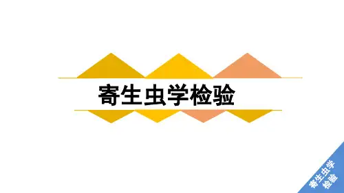 《寄生虫学检验》课件——总论