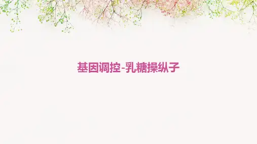 基因调控-乳糖操纵子