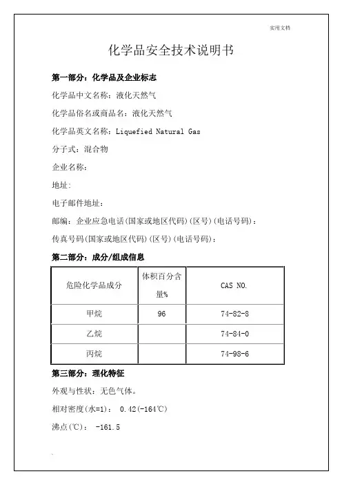 LNG安全技术说明书