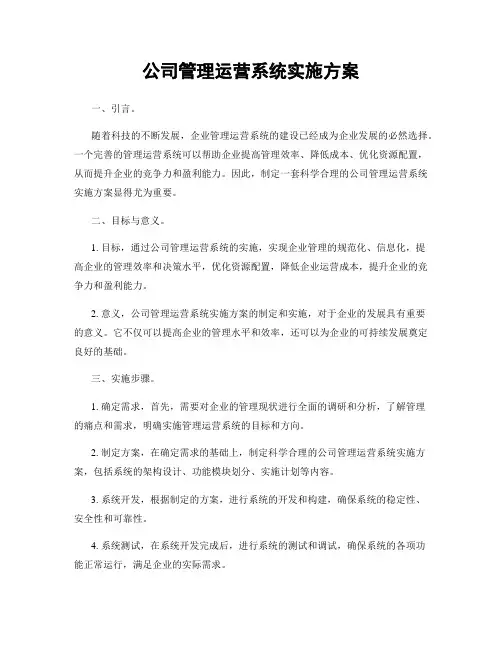公司管理运营系统实施方案