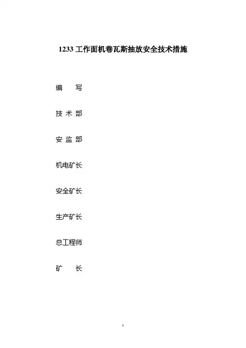 1233抽放措施