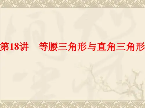 (中考全景透视)中考数学一轮复习 第18讲 等腰三角形与直角三角形课件