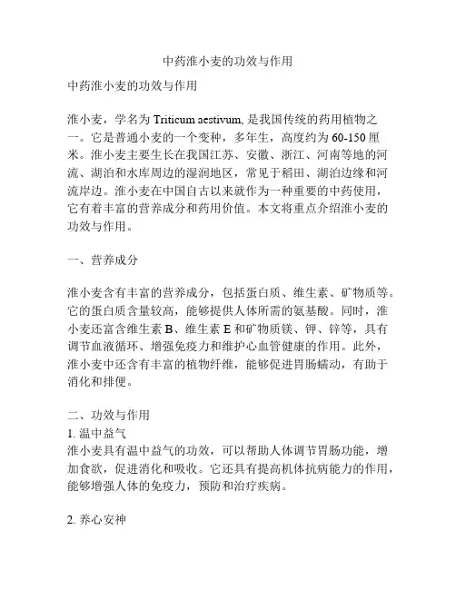 中药淮小麦的功效与作用