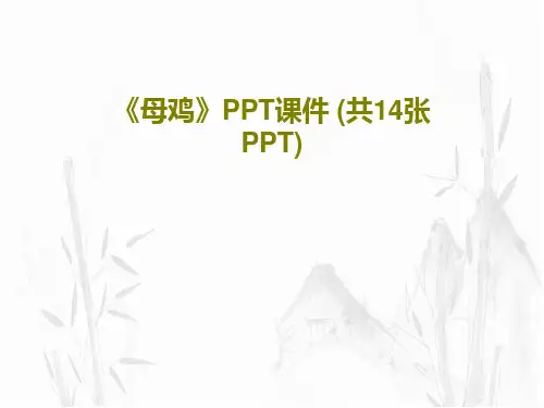 《母鸡》PPT课件 (共14张PPT)PPT17页