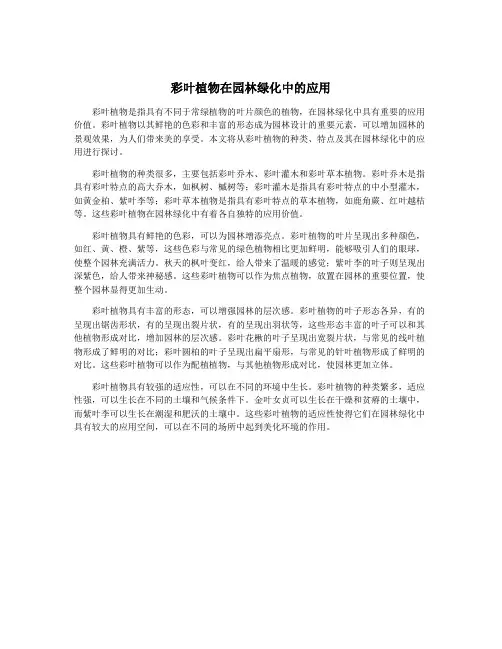 彩叶植物在园林绿化中的应用