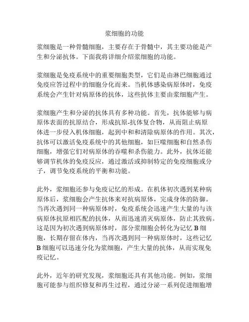 浆细胞的功能