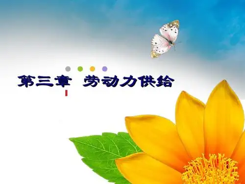 第三章 劳动力供给