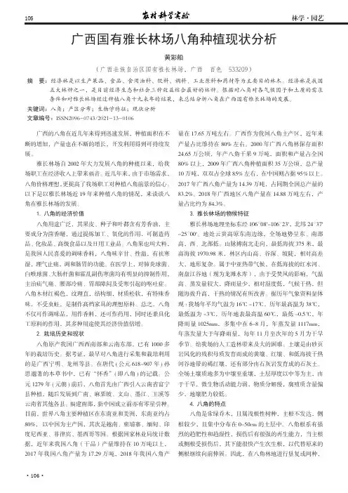 广西国有雅长林场八角种植现状分析