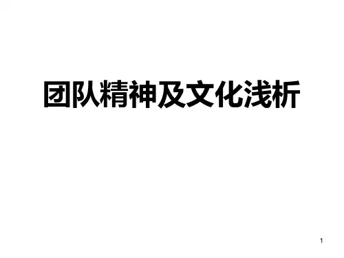 团队精神及文化浅析 PPT课件