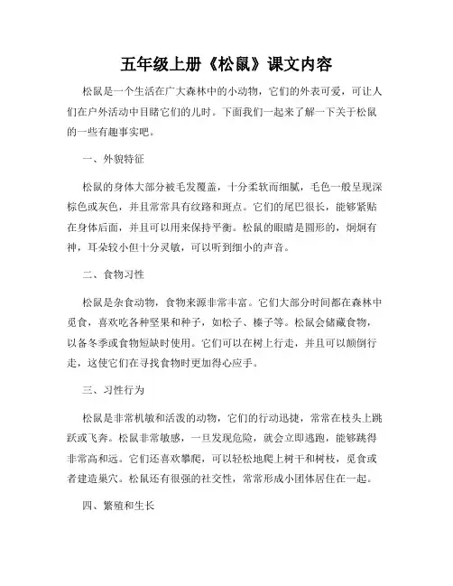 五年级上册《松鼠》课文内容