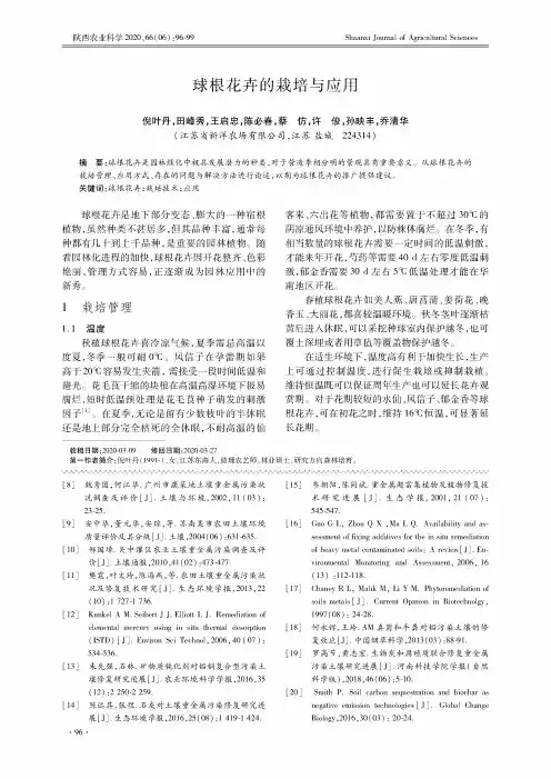 球根花卉的栽培与应用