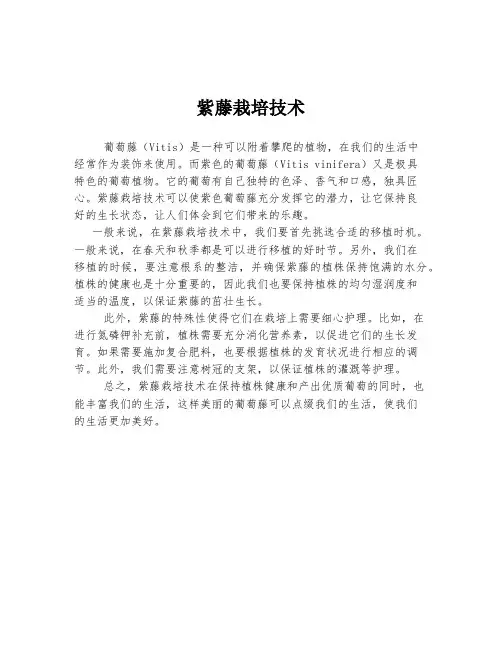紫藤栽培技术