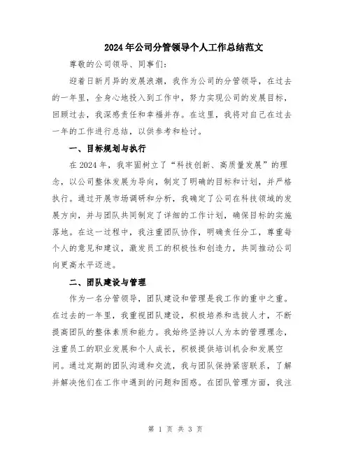2024年公司分管领导个人工作总结范文