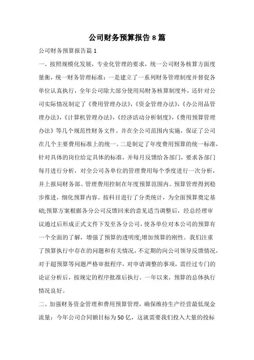 公司财务预算报告