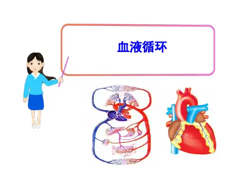 北师大版初中生物七年级下册课件-4.9.2 血液循环10