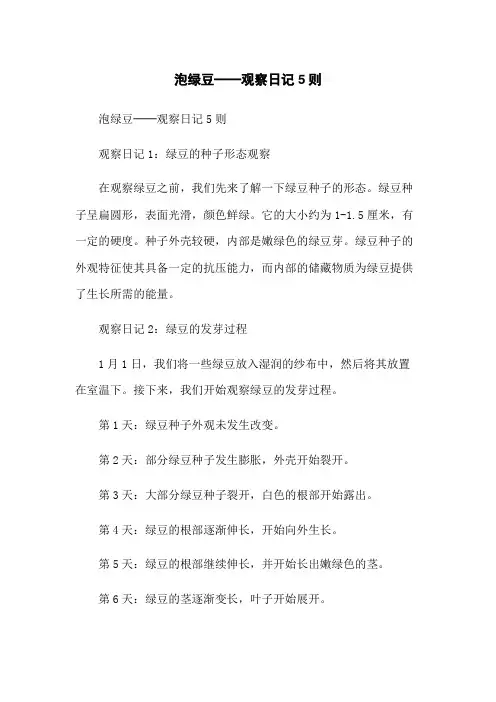 泡绿豆──观察日记5则